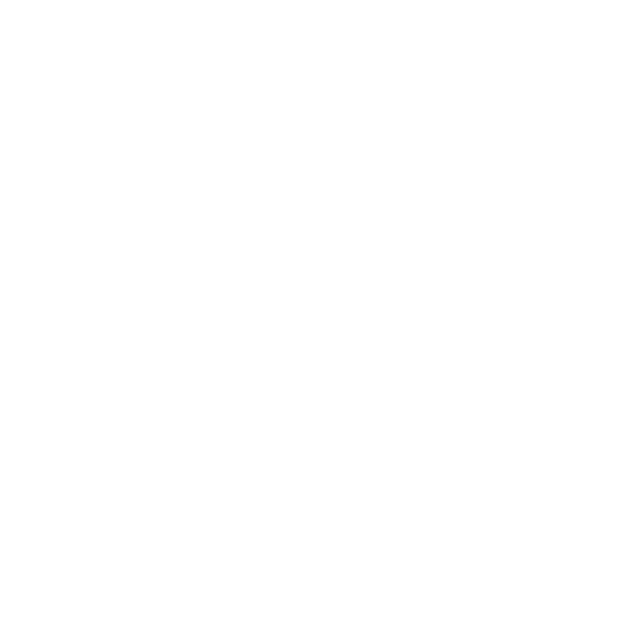 instagram white icon